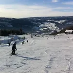 Koselig Hus I Valdres
