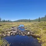 Koselig Hus I Valdres