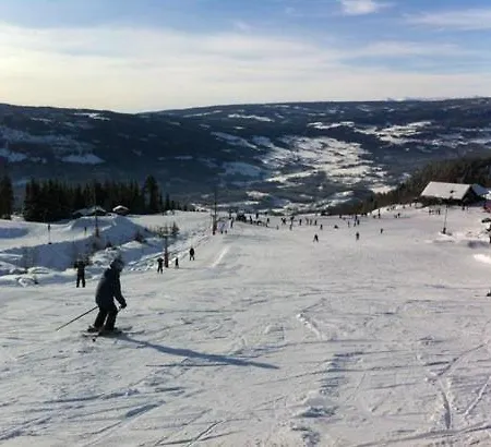 Koselig Hus I Valdres