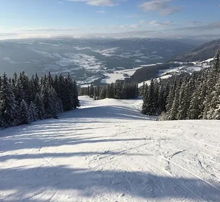 Koselig Hus I Valdres Leilighet