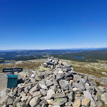 Koselig Hus I Valdres