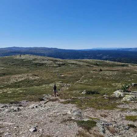 Koselig Hus I Valdres Leilighet
