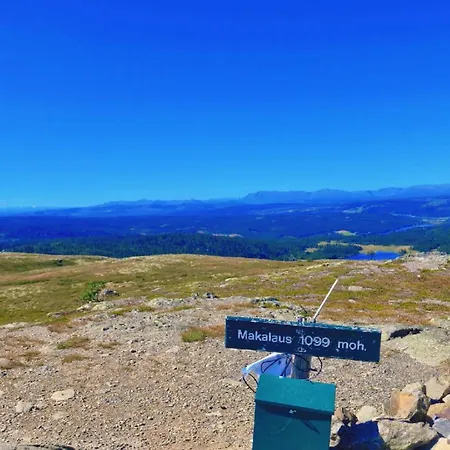 Koselig Hus I Valdres * Leira (Innlandet)
