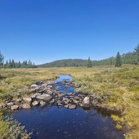 Koselig Hus I Valdres